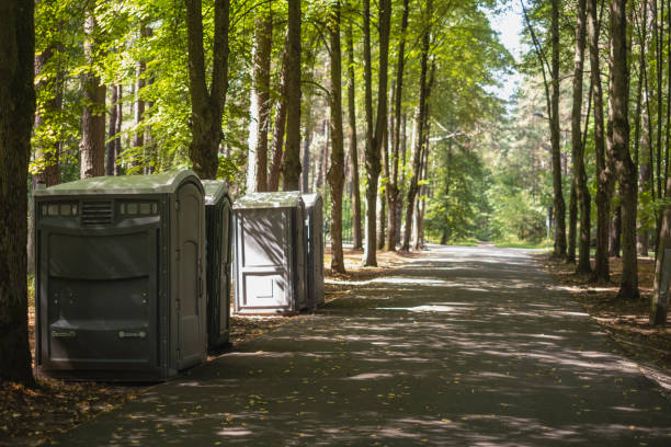 Best Portable toilet rental cost  in Lake Ripley, WI